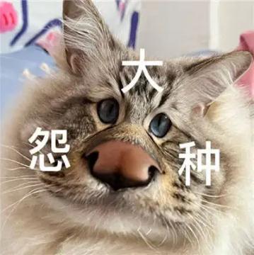 ��ԩ��ʲô��˼��� ԩ�ֽ��ù������������